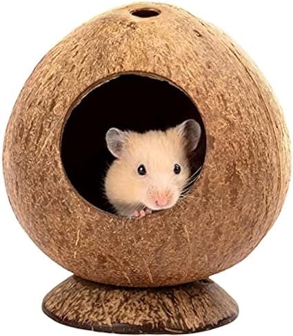 casa de coco para jaula para hamster